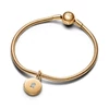 Kép 3/5 - Pandora nyitható és gravírozható szerelem lakat függő charm - 763066C01