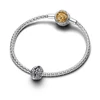 Kép 3/5 - Pandora charm -792962C01