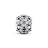 Kép 2/2 - Pandora Csillogó Növények charm - 792383C01