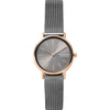 Kép 1/4 - Skagen  női óra - SKW2996