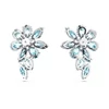 Kép 4/5 - Swarovski Gema csepp alakú fülbevaló - 5666016