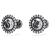 Kép 3/5 - Swarovski Swan bedugós fülbevaló - 5680848
