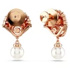 Kép 4/5 - Swarovski Idyllia Kagyló alakú fülbevaló - 5689196
