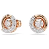 Kép 1/3 - Swarovski Dextera bedugós fülbevaló - 5692258