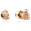 Kép 3/3 - Swarovski Stilla fülbevaló - 5734248