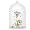 Kép 2/3 - Swarovski Florere 130. évfordulós Üvegvitrin - 5701376