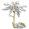 Kép 3/3 - Swarovski Florere 130. évfordulós Üvegvitrin - 5701376