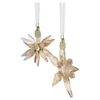 Kép 2/4 - Swarovski Annual Edition Festive 3D-s kristály dísz szett - 5701824