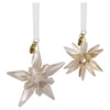 Kép 3/4 - Swarovski Annual Edition Festive 3D-s kristály dísz szett - 5701824