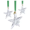 Kép 3/3 - Swarovski Annual Edition 2025-as kristály dísz szett - 5701854