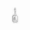 Kép 2/2 - Thomas Sabo Charm Club Vízöntő charm - 2143-643-21