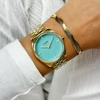 Kép 4/4 - Cluse Féroce Petite női Gold óra - CW11220