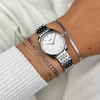 Kép 4/4 - Cluse Féroce Mini Silver női óra - CW11706