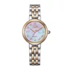 Kép 1/4 - Citizen Eco-Drive Elegance női óra - EM0996-84Y