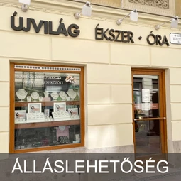 Eladó-tanácsadó - Győr Belváros