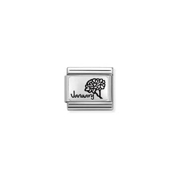 Nomination "Januári születésnapi viráglap" charm - 330112-13