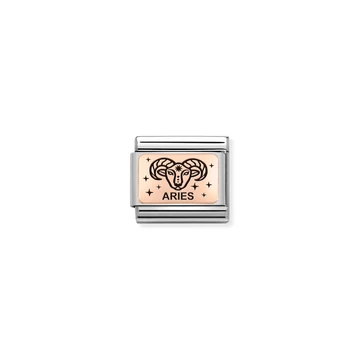 Nomination "Kos csillagjegy" charm - 430112-01