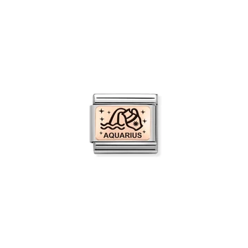 Nomination "Vízöntő csillagjegy" charm - 430112-11