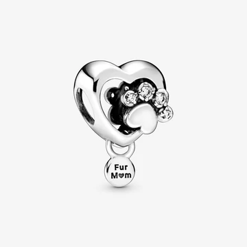 Pandora charm - 798873C01