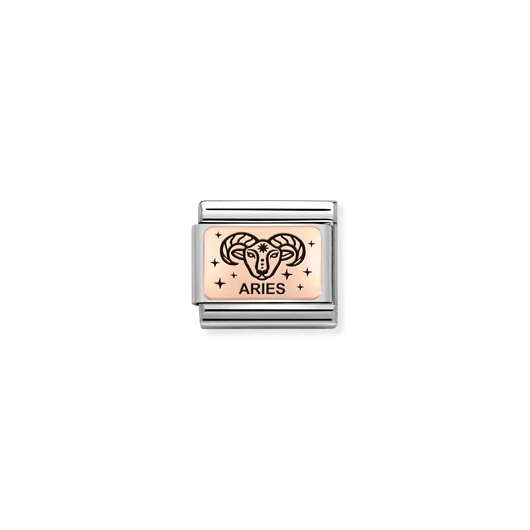 Nomination "Kos csillagjegy" charm - 430112-01