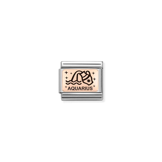 Nomination "Vízöntő csillagjegy" charm - 430112-11