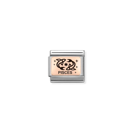 Nomination "Halak csillagjegy" charm - 430112-12
