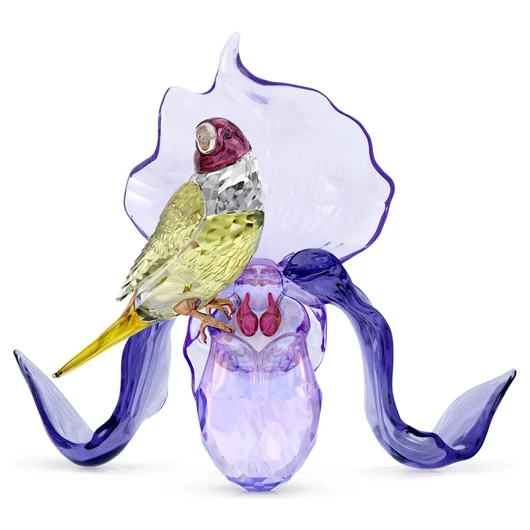 Swarovski Idyllia Gould-amandina és orchidea kristály dísz - 5675211