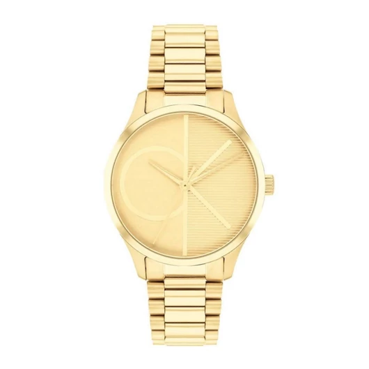 Calvin Klein Iconic női óra - CK25200346